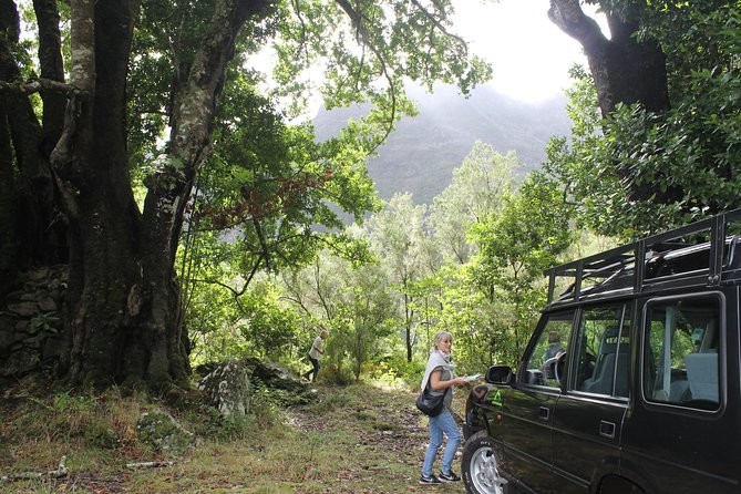 East Tour - 4x4 - Small Group - Engenhos do Norte: Sugar Production History in Porto da Cruz