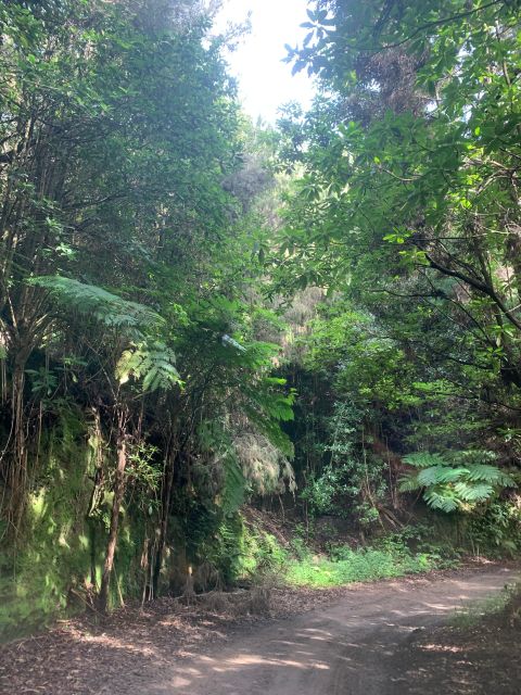 East Tour: Classic jeep tour to East Madeira - Santana - Ponta do Cruz / North Mills Distillery: a stop for context