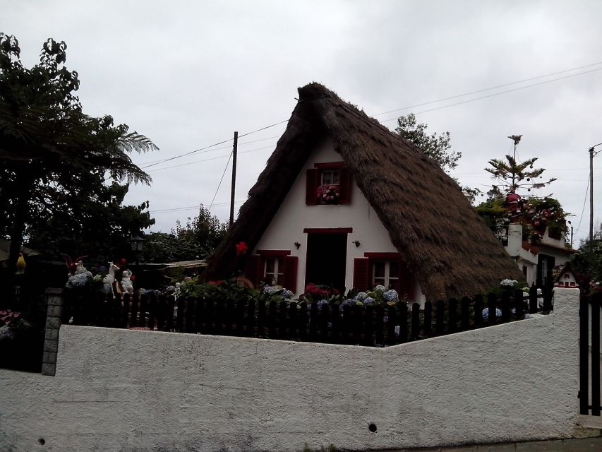 Eastern Madeira: Full-Day Tour with Rum Tasting - Ribeiro Frio and the laurel forest world of Balcões