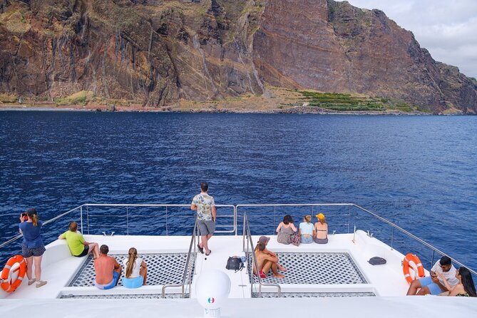 Eco-Friendly Catamaran Dolphin and Whale Watching - Why This Eco Catamaran Makes Sense for Madeira Wildlife