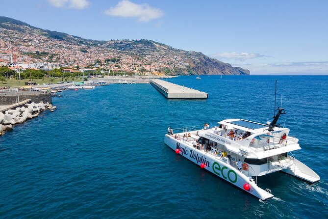 Eco-Friendly Catamaran Dolphin and Whale Watching - The Route: Offshore Spotting, Then Cabo Girão and the South Coast Story