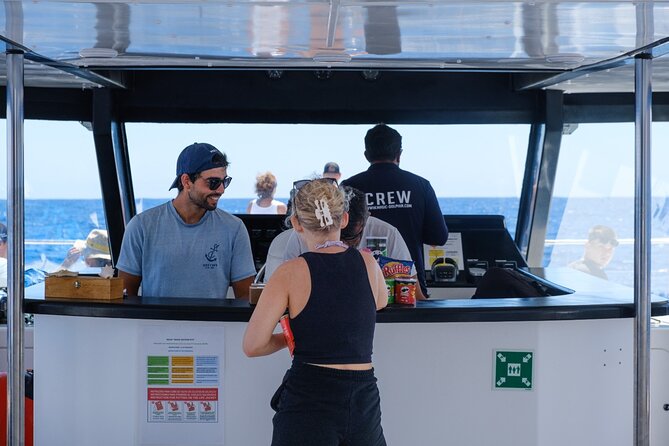 Eco-Friendly Catamaran Dolphin and Whale Watching - Who This Tour Fits Best (and Who Might Want to Rethink It)