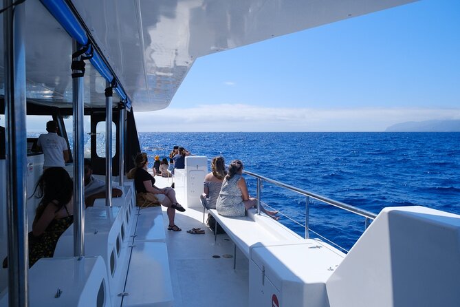 Eco-Friendly Catamaran Dolphin and Whale Watching - Onboard Experience: Comfort, Cleanliness, and How the Crew Runs the Search