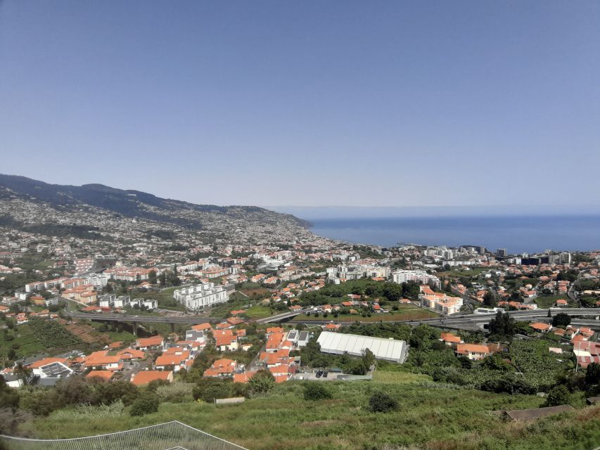 Eira do Serrado / Curral das Freiras (Nun's Valley) - Pickup to Pico dos Barcelos: where the Funchal views start