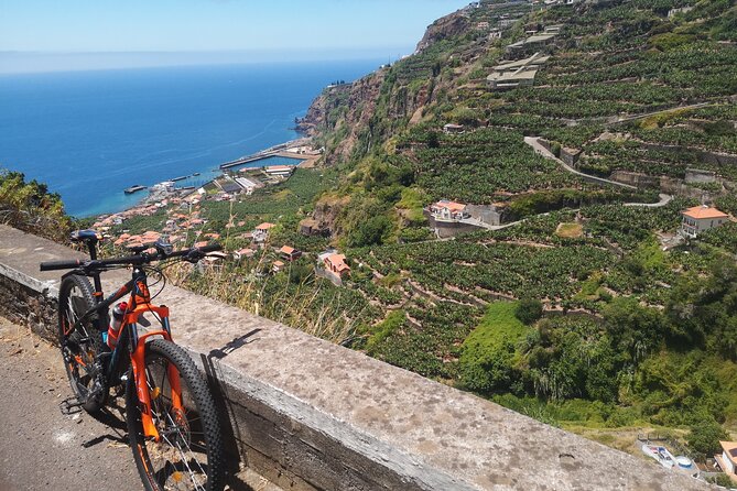 Electric Bike Tour in Northern Madeira - Price and Value: Is $78.44 a Good Deal?
