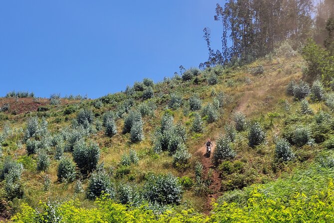 Enduro Dirt-Bike Tour - Stop 2: Chão das Feiteiras for a break in the rhythm