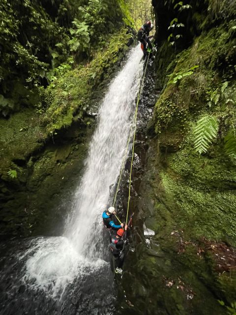 EPIC Madeira Canyoning Level Two - Key highlights you’ll care about