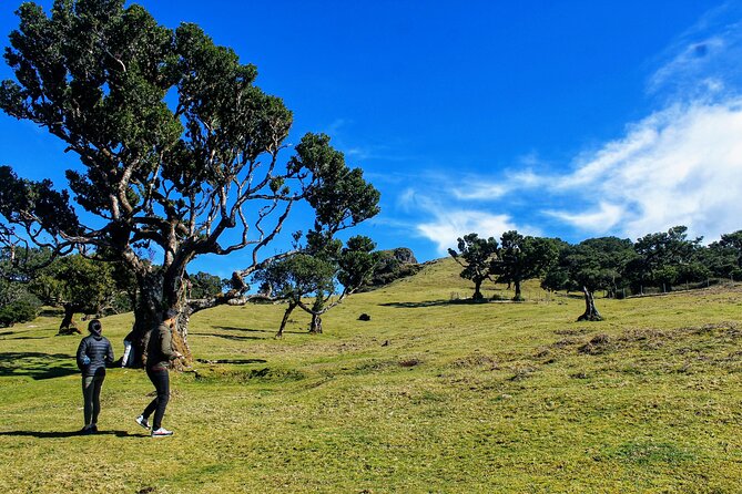 Exploring new Northwest frontiers: Beyond Madeira in 4x4 tour - Candelária and the climb toward Lombo do Mouro