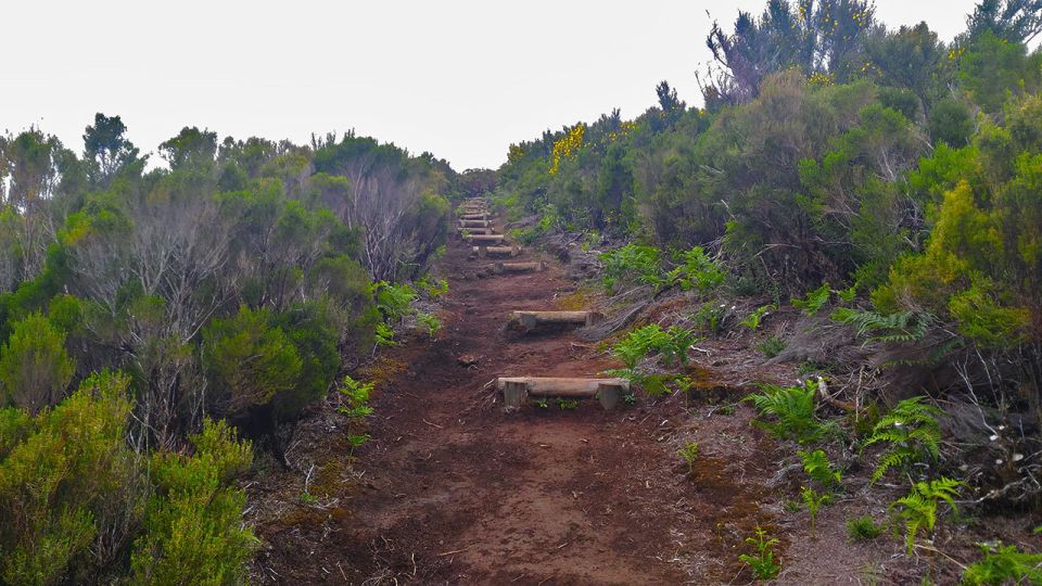 Fanal / Assobiadores - Levada Walk - Price and value: is $50 for 8 hours a good deal?