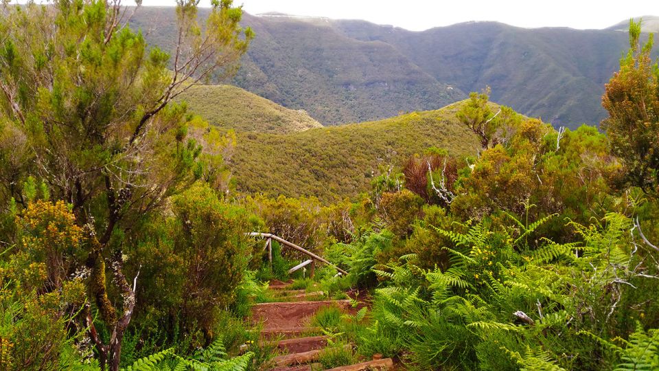 Fanal / Assobiadores - Levada Walk - Pickup and meeting: start right, avoid last-minute stress