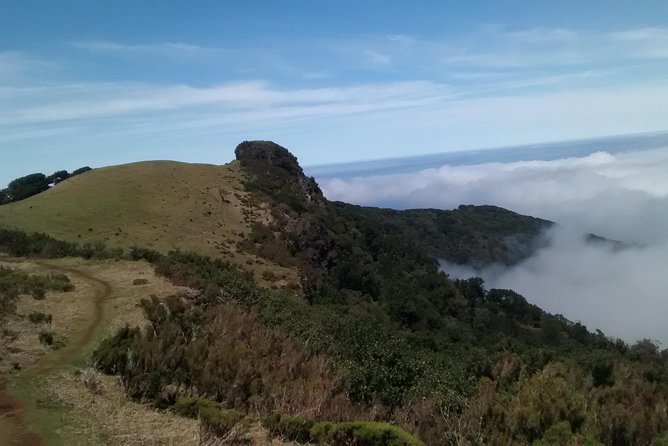 Fanal -Enchanted Forest - Gonçalo and Gustavo: Guides Who Set the Tone