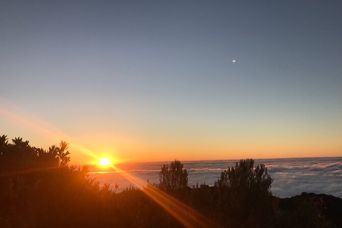 Fanal Forest Private Sunset Hike - Pickup Times and the 3:00 pm Walk Window