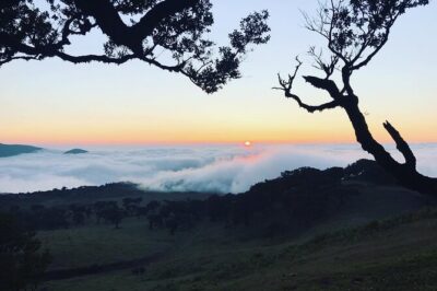 Fanal Forest Private Sunset Hike - Why the Best Trails Often Aren’t the Signposted Ones