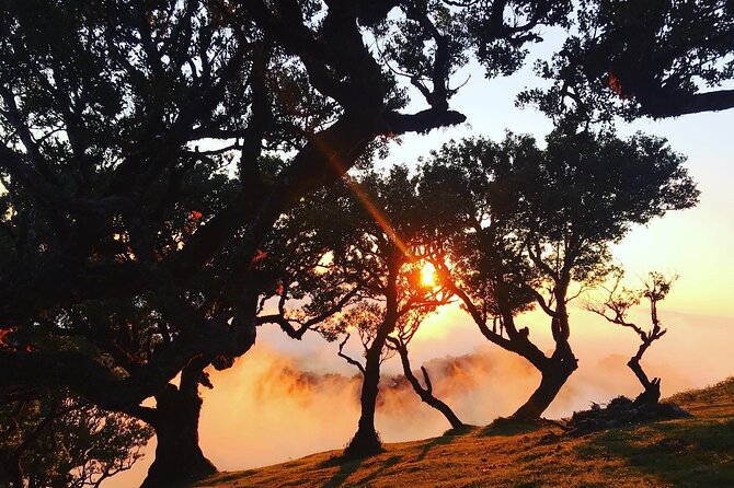 Fanal Forest Private Sunset Hike - Sunset Over the Clouds: What You’re Really Booking