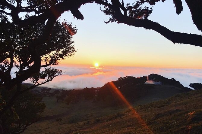 Fanal Forest Private Sunset Hike - Price and Value: Is $90.11 Per Person Fair for a Private Tour?