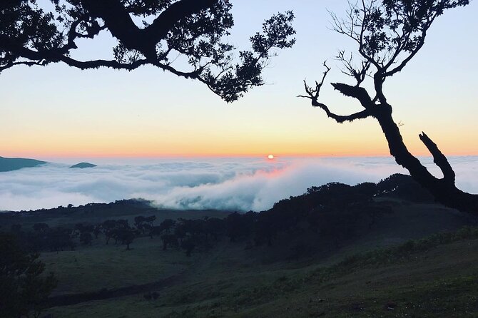 Fanal Forest Private Sunset Hike - Why the Best Trails Often Aren’t the Signposted Ones