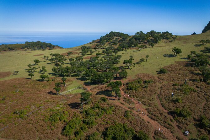 Fanal & Porto Moniz - West Madeira Tour - Eira da Achada viewpoint: a quick hit of rural Madeira