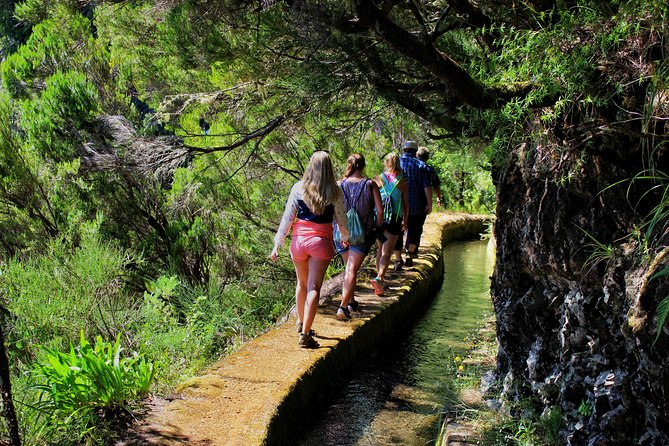 Fascinated Landscapes Northwest 4x4 excursion - Fanal, then Ribeira da Janela twice: why timing matters here