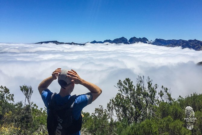 Folhadal Hidden Treasures Running Tour (Moderate) - The stair push: earning open mountain views