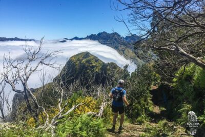 Folhadal Hidden Treasures Running Tour (Moderate) - Laurissilva Forest: levada running, waterfalls, and two tunnel crossings