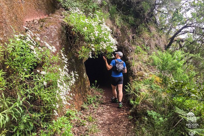 Folhadal Hidden Treasures Running Tour (Moderate) - The last 3 km: downhill road relaxation back to Funchal