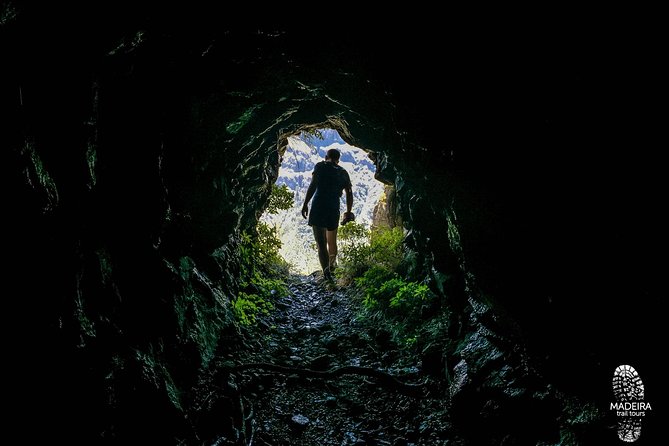 Folhadal Hidden Treasures Running Tour (Moderate) - Price and value for a 3-hour workout with UNESCO nature