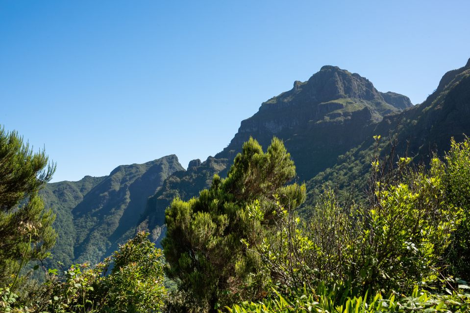 From Funchal: Best of Madeira's West Tour - Porto Moniz: Lunch Time Plus Volcanic Swimming Pools
