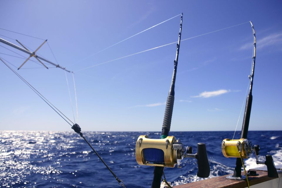 From Funchal : Big Game Fishing boat trip - Gear, bait, drinks, and the onboard “comfort level”