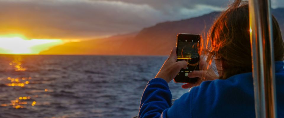 From Funchal: Cabo Girao Sunset Cruise on Luxury Catamaran - Wildlife spotting: dolphins and whales aren’t a promise, but it’s the point