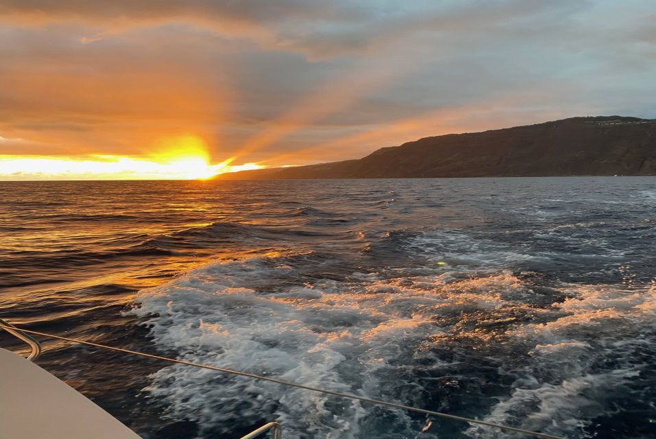 From Funchal: Cabo Girao Sunset Cruise on Luxury Catamaran - Price and value: why $47 for 3 hours can make sense