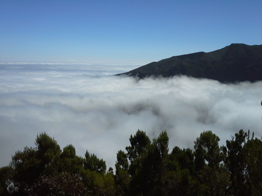 From Funchal: East Tour Madeira 4x4 Jipe Tour Santana Houses - Porto da Cruz: rum tradition at Engenhos do Norte