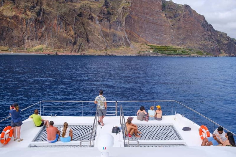 From Funchal: Ecological Catamaran Dolphin Whale Watching - Key Highlights You’ll Care About