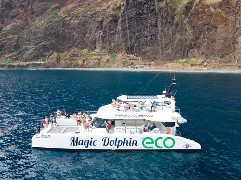 From Funchal: Ecological Catamaran Dolphin Whale Watching - Eco-Catamaran Basics: Hybrid-Electric Watching Off Funchal