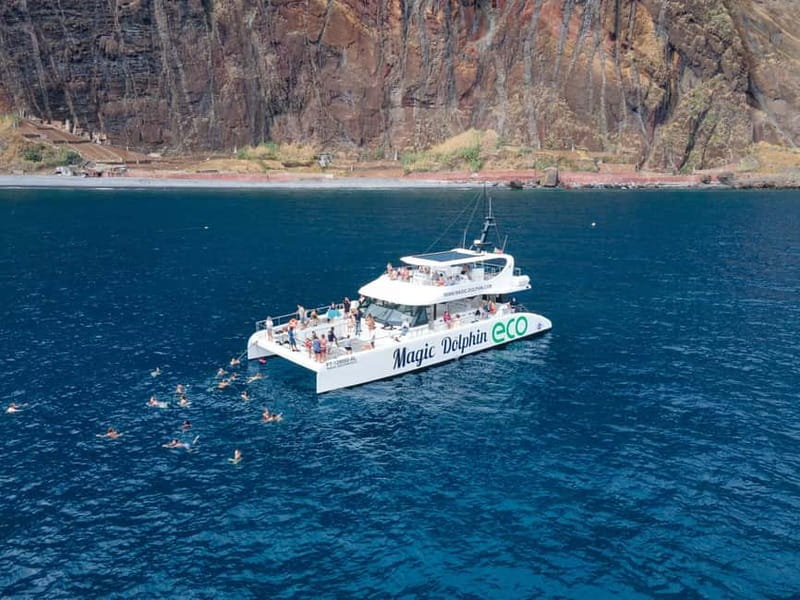 From Funchal: Ecological Catamaran Dolphin Whale Watching - The Quiet Engine Effect: Responsible Viewing That Still Feels Exciting