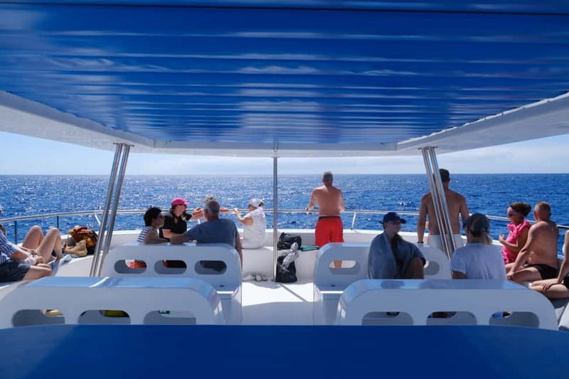 From Funchal: Ecological Catamaran Dolphin Whale Watching - What’s On Board (and What You’ll Probably Want)