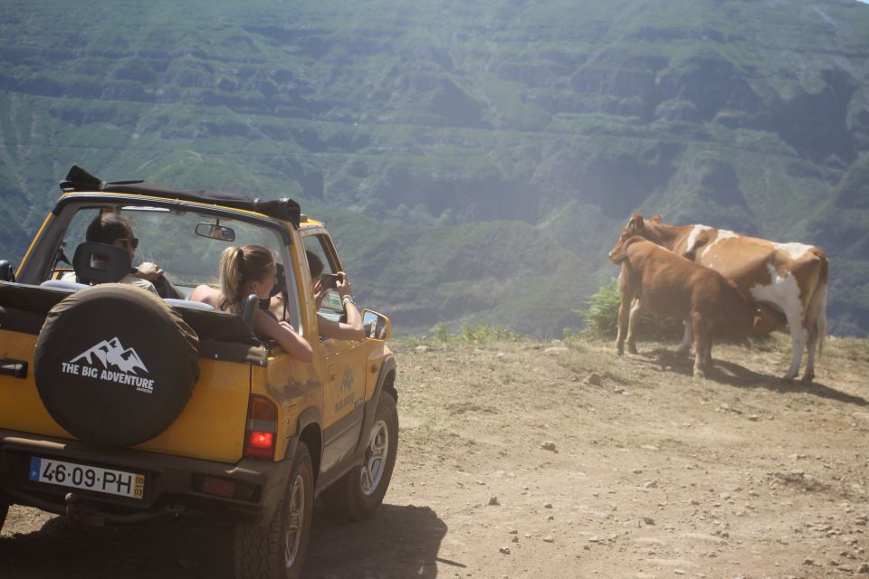 From Funchal: Guided Tour of Madeira Mountains in a Jeep - Trompica off-road: where the jeep tour stops being polite