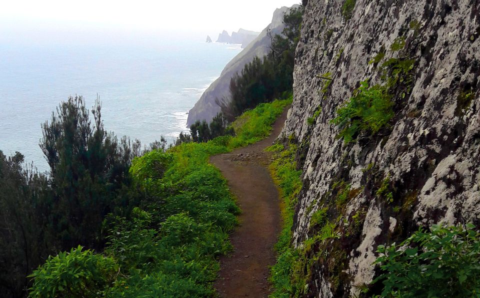 From Funchal: Machico to Porto da Cruz Larano Cliff Hike - Key reasons this hike is a standout