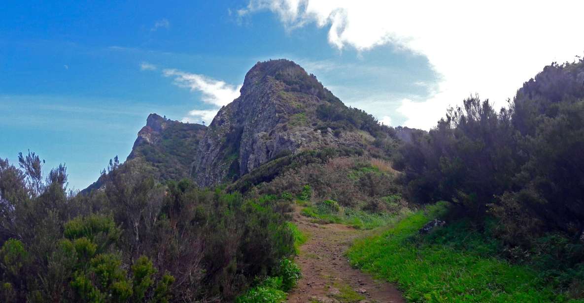 From Funchal: Machico to Porto da Cruz Larano Cliff Hike - Machico to Porto da Cruz: what makes the Larano route worth your time
