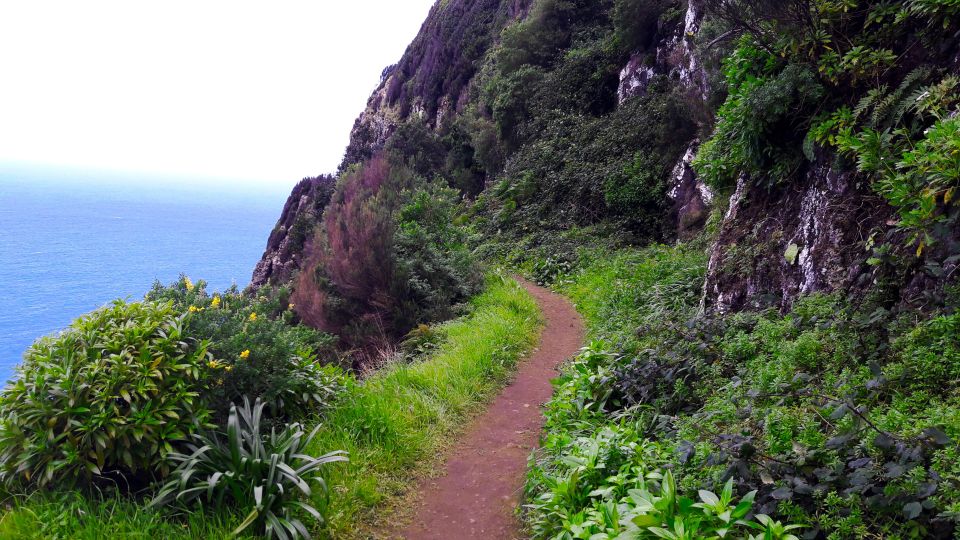 From Funchal: Machico to Porto da Cruz Larano Cliff Hike - The Machico walking section: farmland, levadas, and context