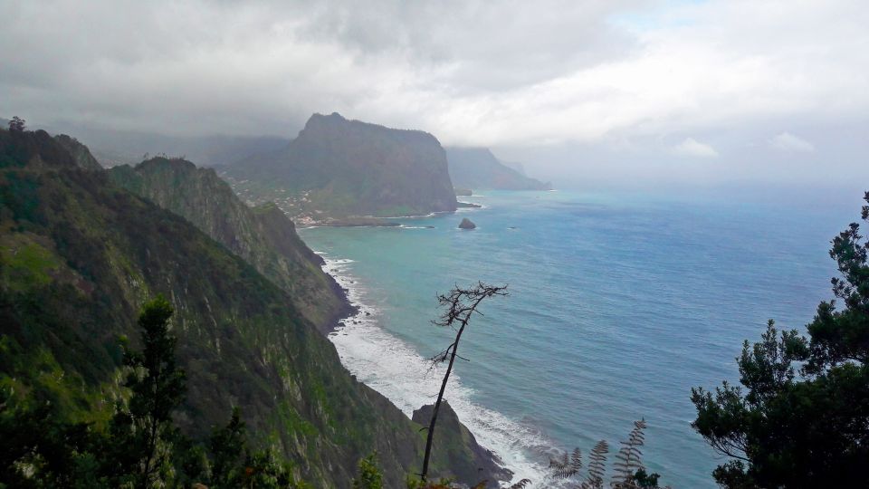 From Funchal: Machico to Porto da Cruz Larano Cliff Hike - Climbing toward the Larano cliff: when the trail turns more serious