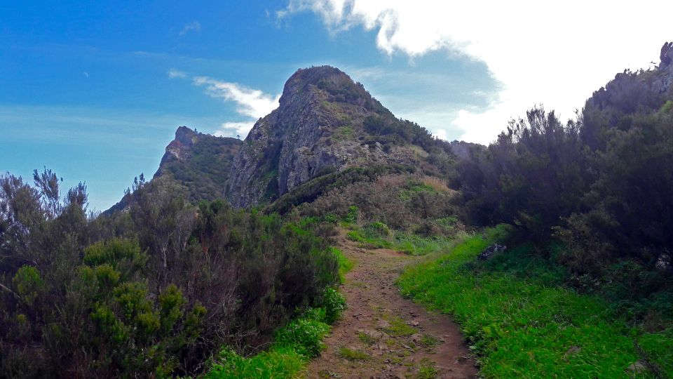 From Funchal: Machico to Porto da Cruz Larano Cliff Hike - Pickup and timing: how the day actually moves