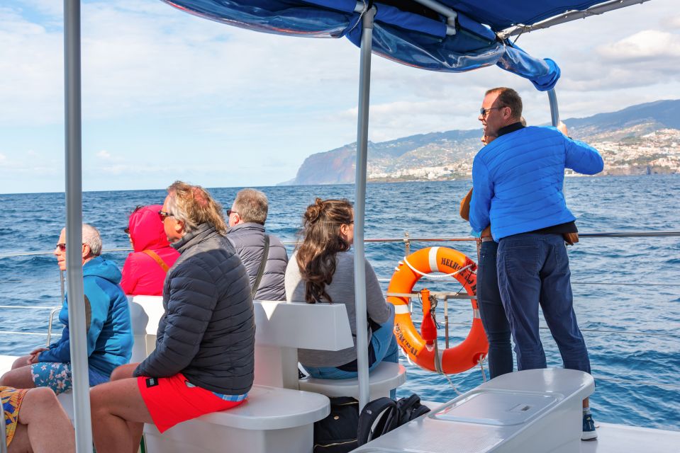 From Funchal: Madeira Dolphin and Whale Watching Tour - The Catamaran Experience: Space, Seating, and Onboard Stops