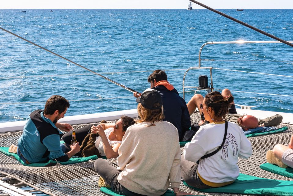 From Funchal: Madeira Dolphin and Whale Watching Tour - Responsible Wildlife Watching (and Why It’s Part of the Value)