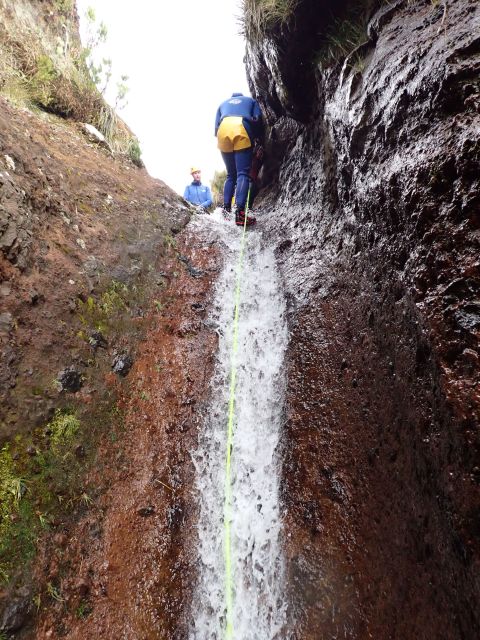 From Funchal: Madeira Island Canyoning for Beginners - Getting From Funchal: Pickup Options and the Short Van Ride