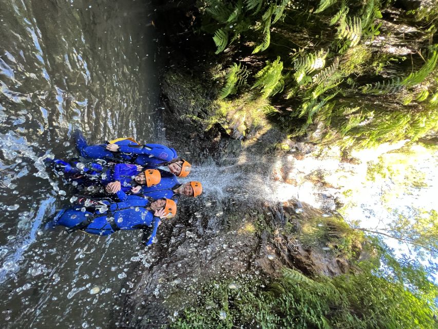 From Funchal: Madeira Island Canyoning for Beginners - Price and Value: Is $82 Worth It?