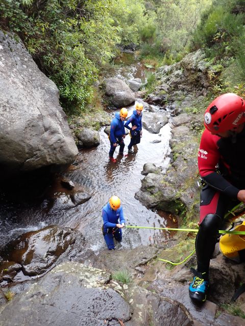From Funchal: Madeira Island Canyoning for Beginners - Language and Guide Style: English, Portuguese, Spanish