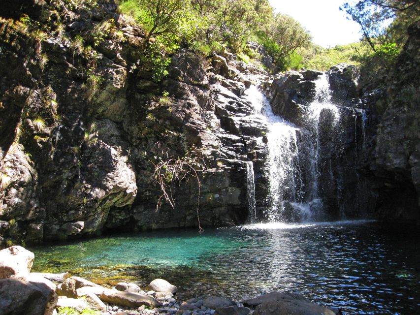 From Funchal: Madeira Lakes Levada Guided Hike - Madeira Lakes Levada Hike from Funchal: The Simple Pitch