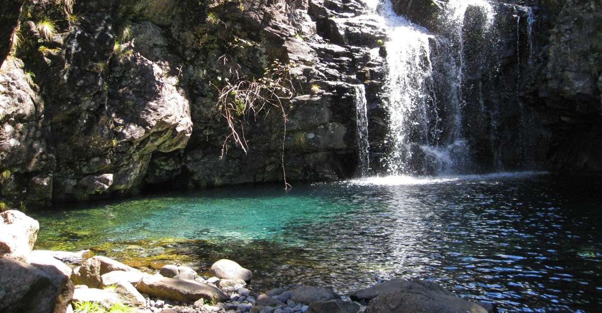 From Funchal: Madeira Lakes Levada Guided Hike - Walking the Levadas: When the Trail Feels Mostly Flat