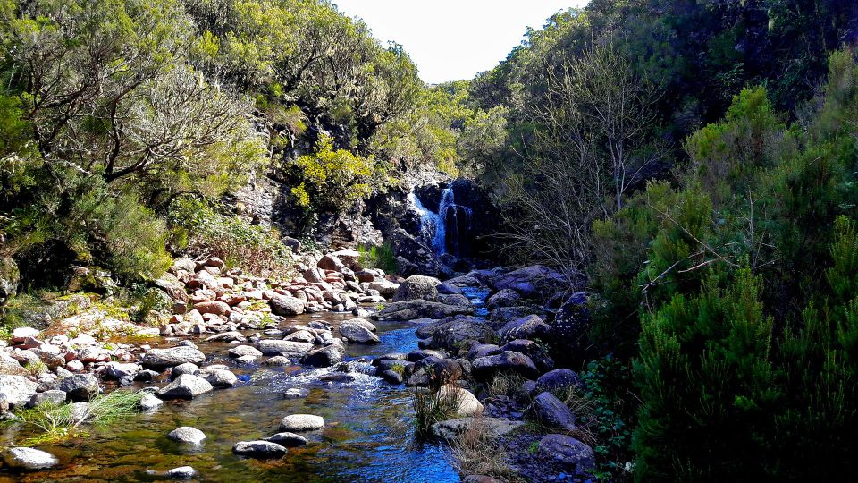 From Funchal: Madeira Lakes Levada Guided Hike - The Summer Swim at Lagoa Dona Beha