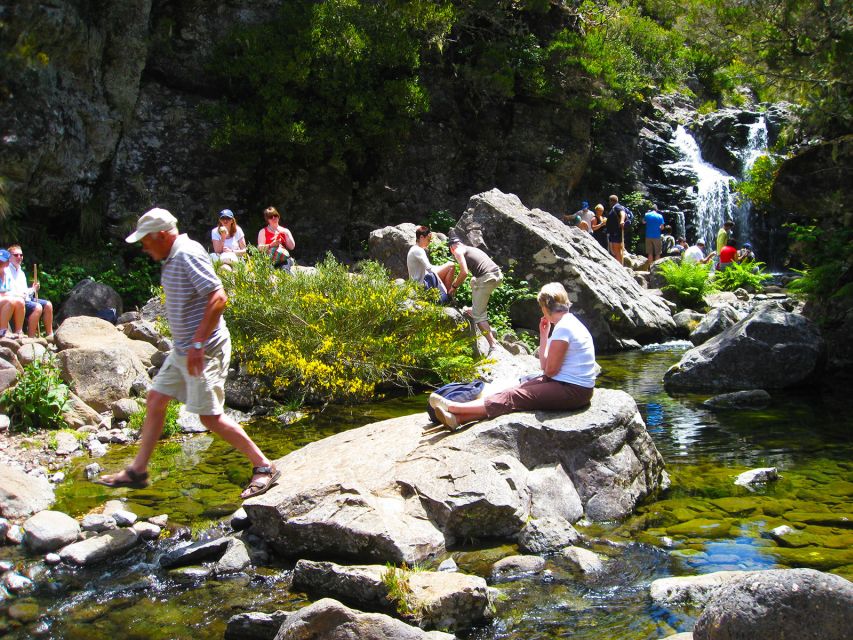 From Funchal: Madeira Lakes Levada Guided Hike - Getting to Levada do Alecrim: Pickup, Timing, and Meeting Spots